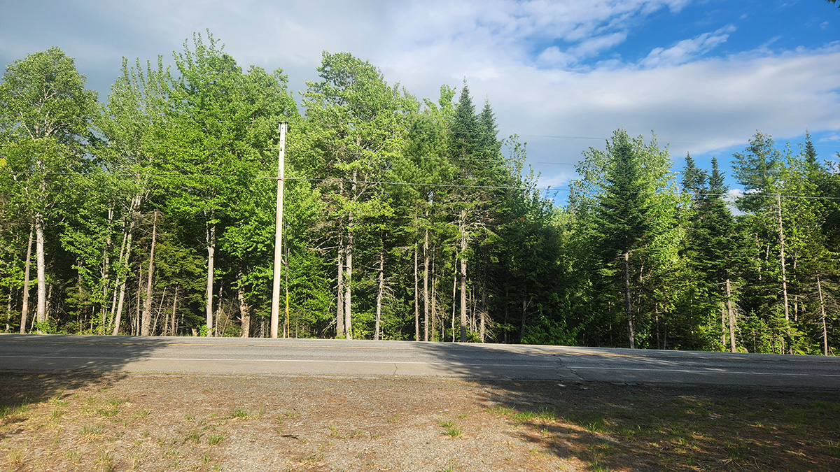 41 Acres Of Land For Sale In Mattawamkeag, Maine Penobscot County
