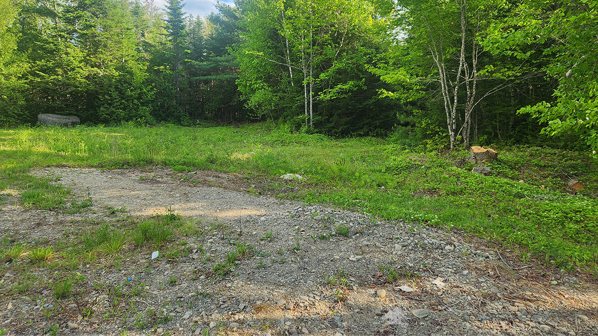 41 Acres Of Land For Sale In Mattawamkeag, Maine Penobscot County