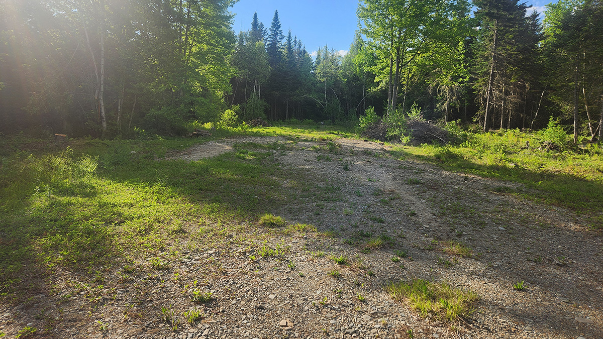 41 Acres Of Land For Sale In Mattawamkeag, Maine Penobscot County