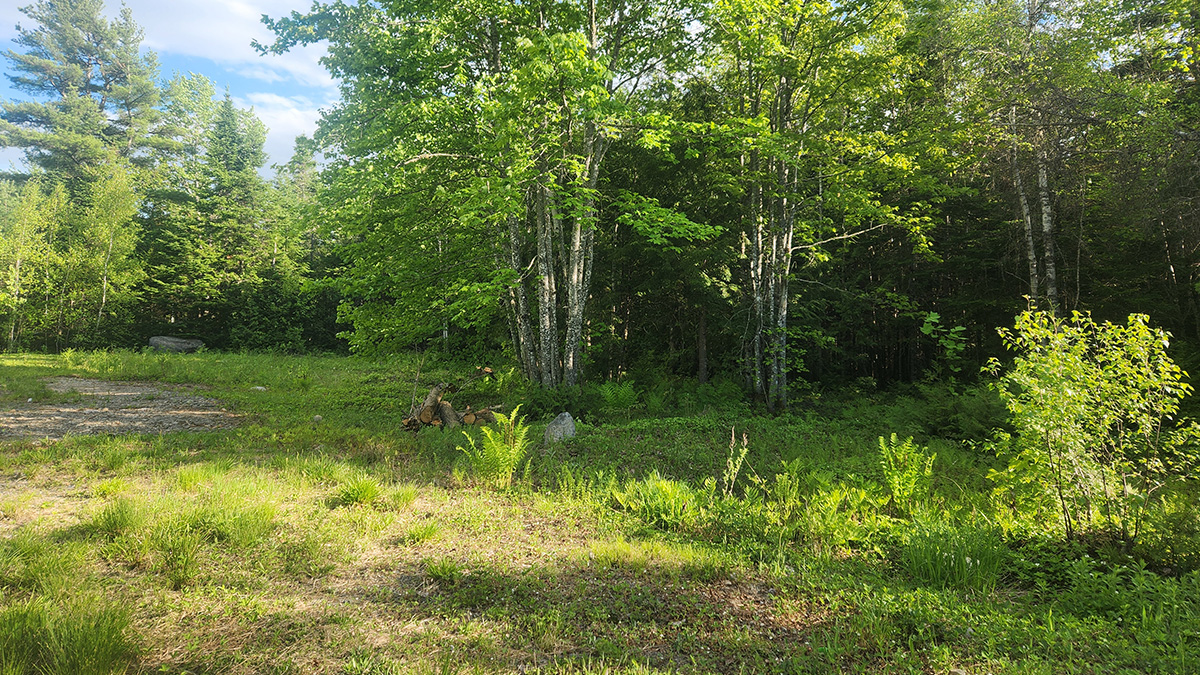 41 Acres Of Land For Sale In Mattawamkeag, Maine Penobscot County