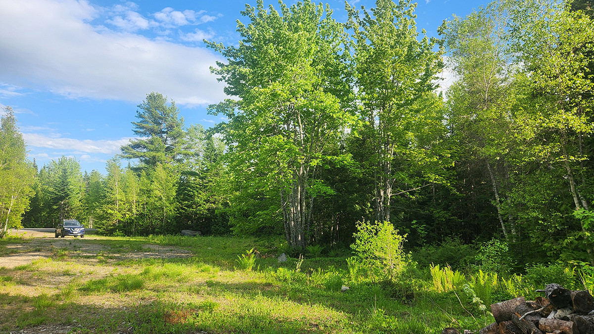 41 Acres Of Land For Sale In Mattawamkeag, Maine Penobscot County