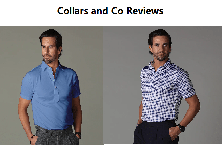 collarsandco com legit? Collars and Co Review 2022 Is it Legit or Scam