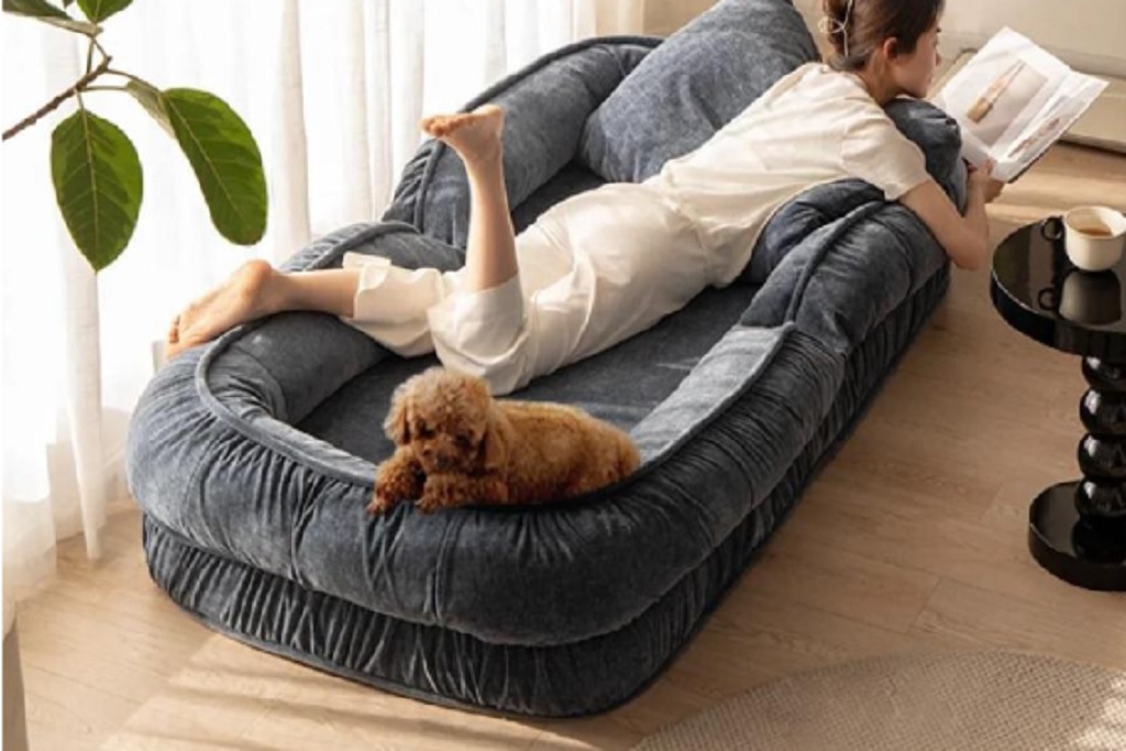 Dogbedoutletday com legit? Plufi Dog Bed for Humans (Dogbedoutletday