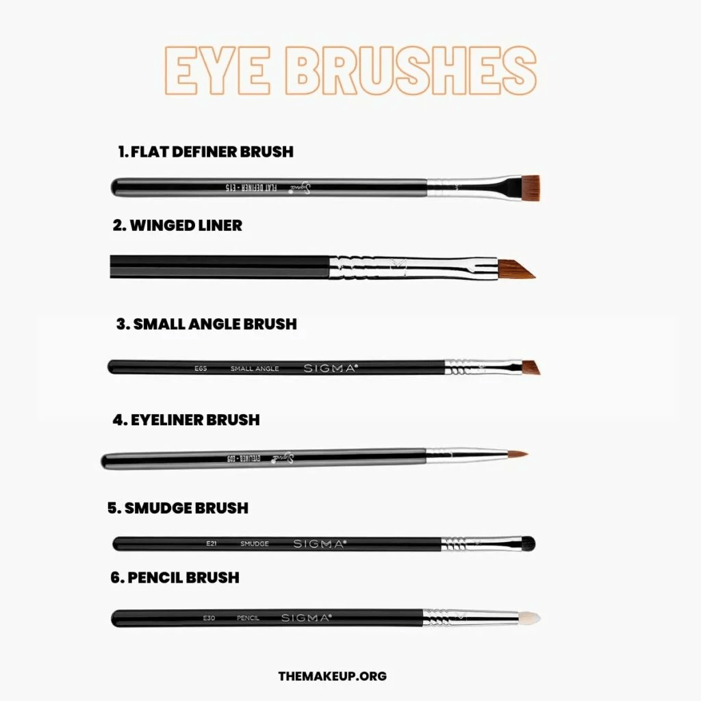 Makeup Brushes And Their Uses [Beginners Guide] TheMakeup