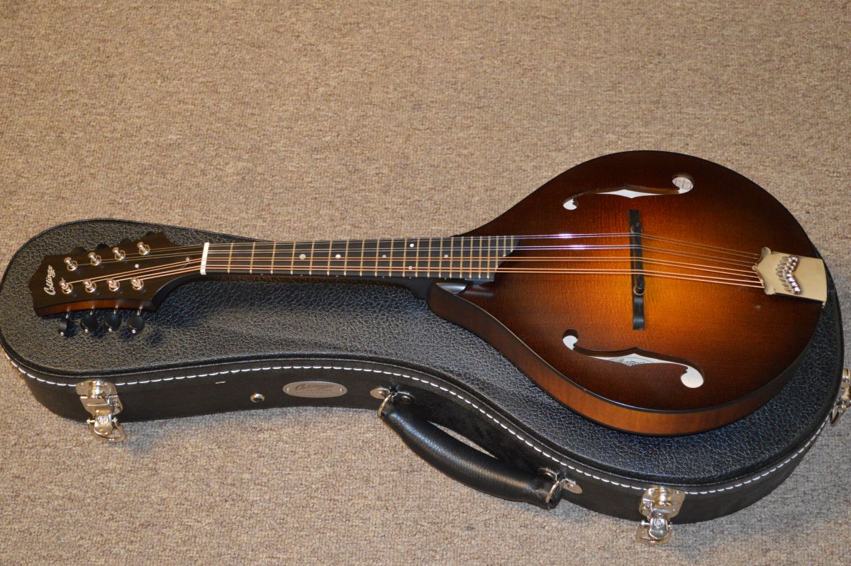 Collings MT Mandolin Mandolin Store