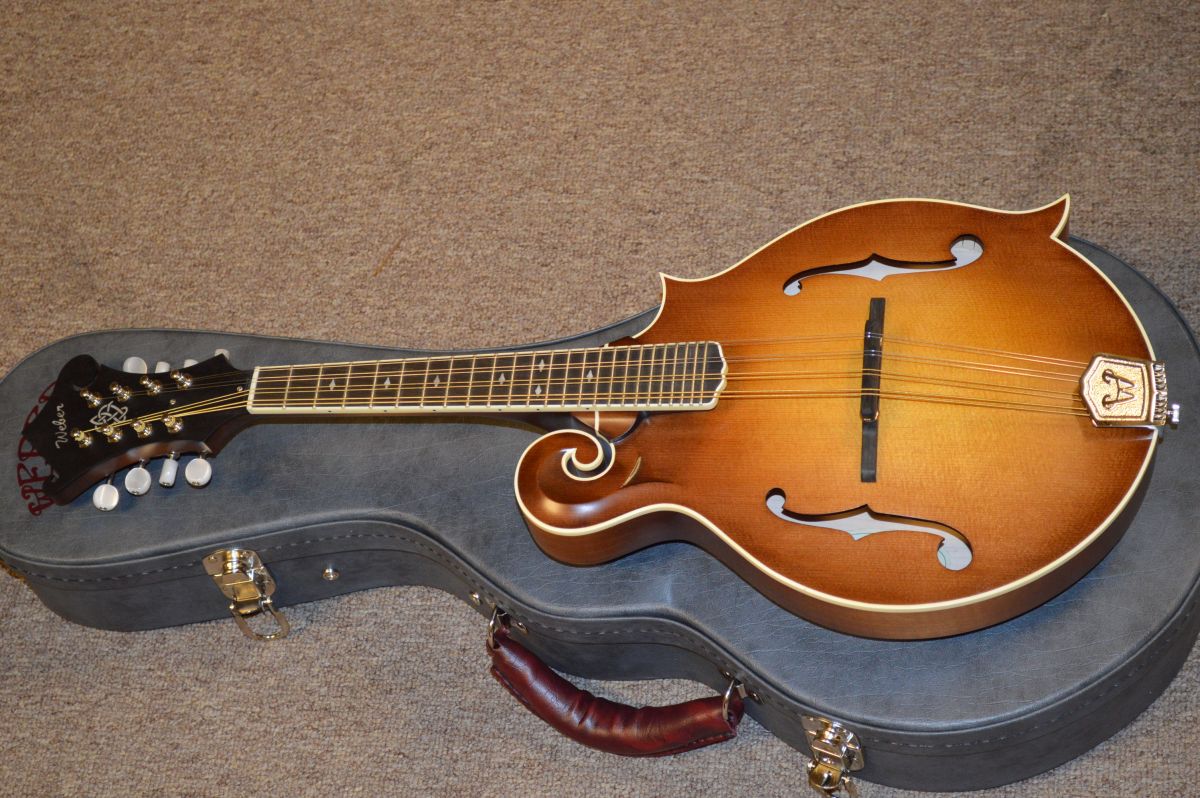 er Bitterroot F Mandolin Mandolin Store