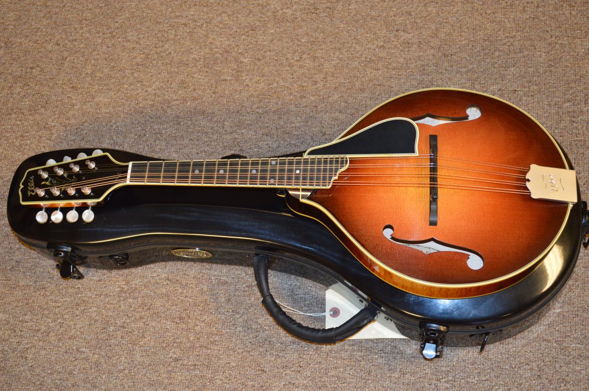 Ellis A Deluxe Mandolin Mandolin Store