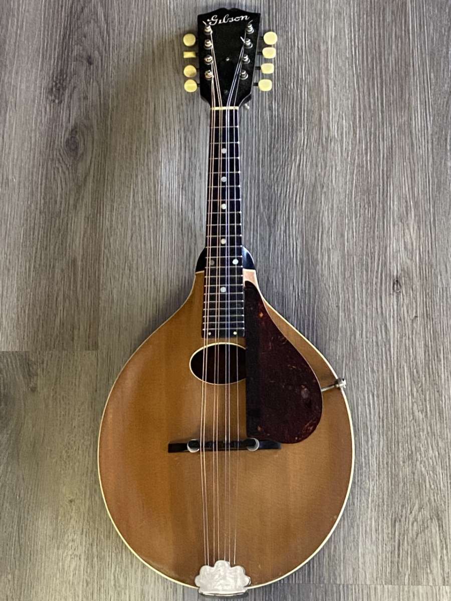 Vintage Gibson A Mandolin Mandolin Store