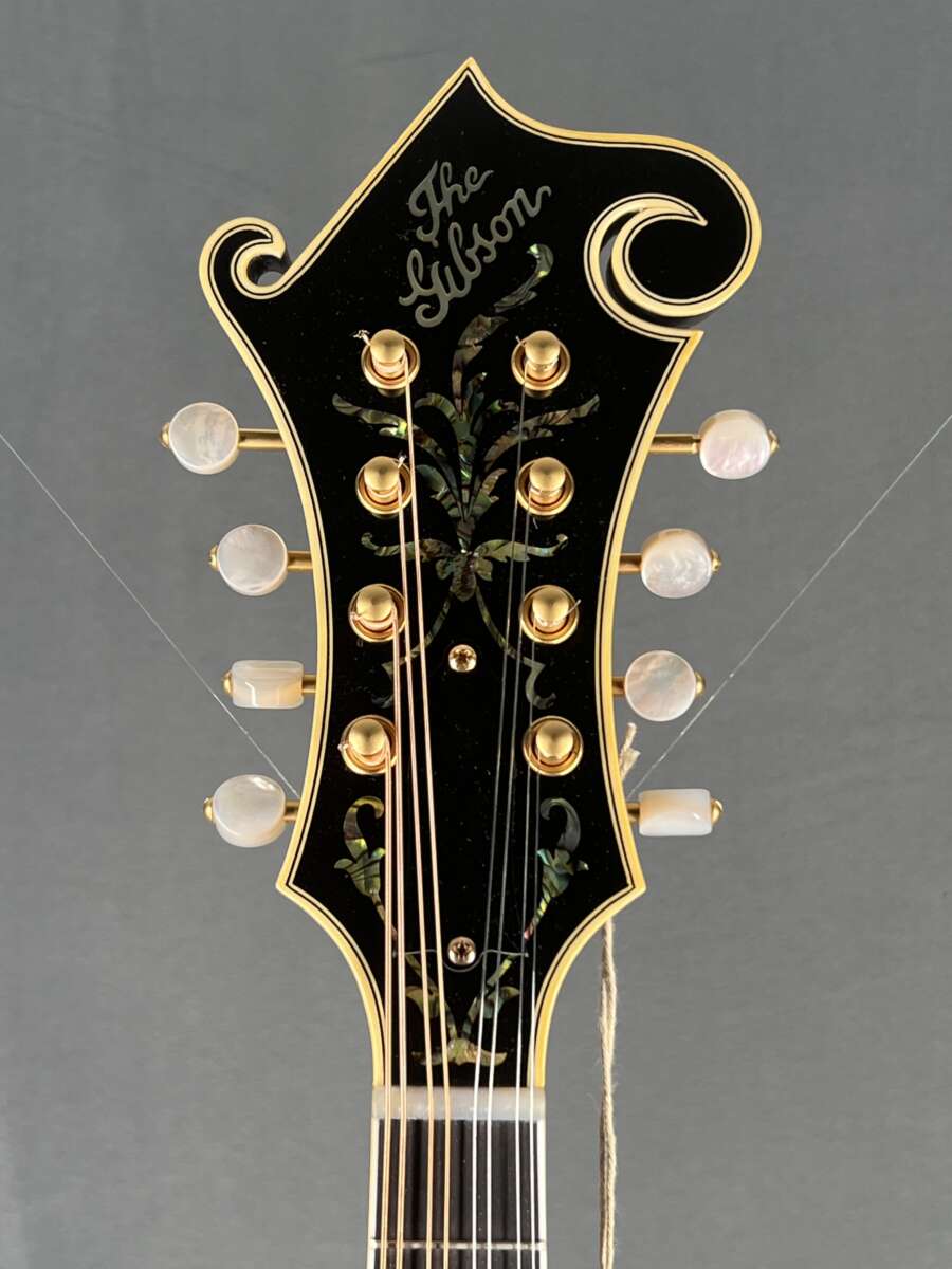 Gibson Fern Mandolin Varnish Finish Red Spruce Due October