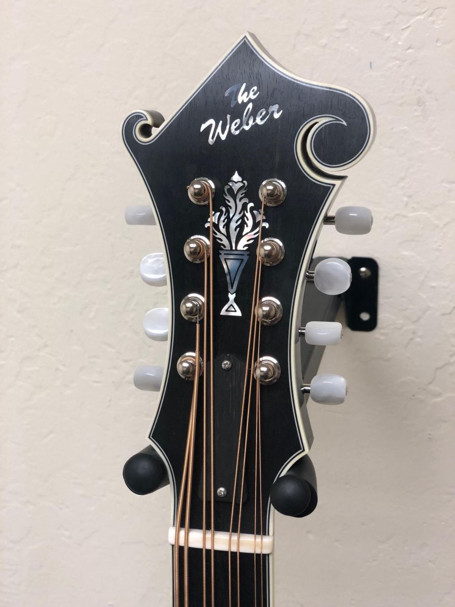 Mandocello Yellowstone F Dovetail Neck Joint Mandolin Store