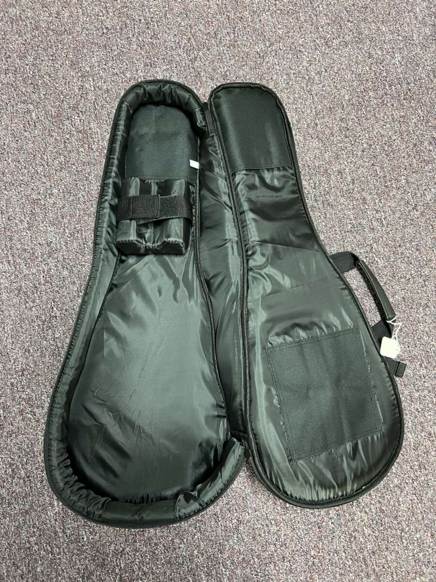 Eastman Deluxe Mandolin Gig Bag Mandolin Store