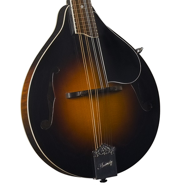 Kentucky KM250 Artist Mandolin & Case Mandolin Store