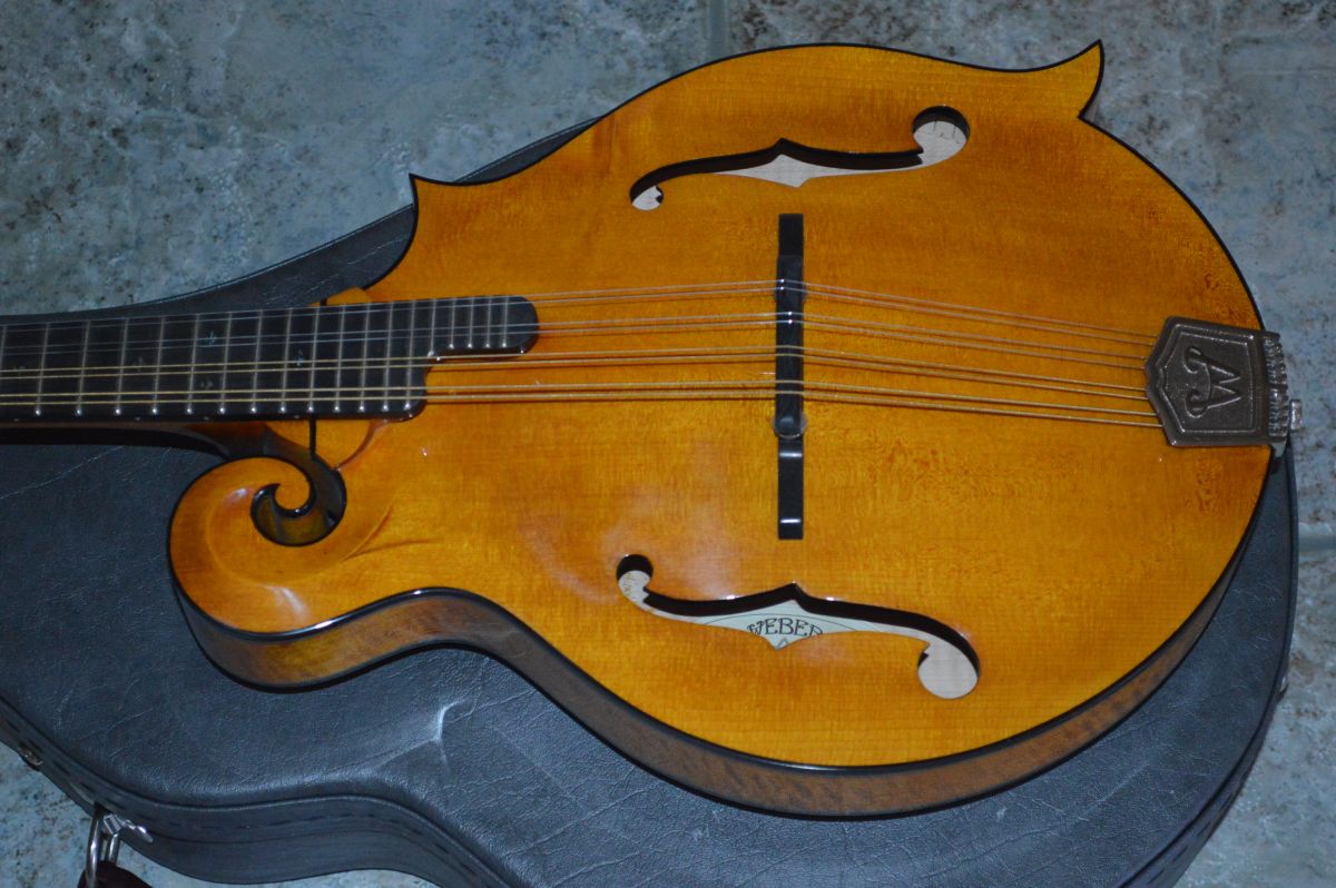 er Yellowstone / Fern Mandolin Mandolin Store