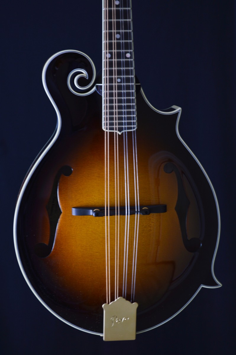 Pava Player F Mandolin Sunburst The Mandolin Store