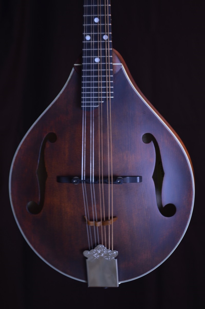 Eastman MD305 Left Hand Mandolin Gig Bag & Set Up Mandolin Store