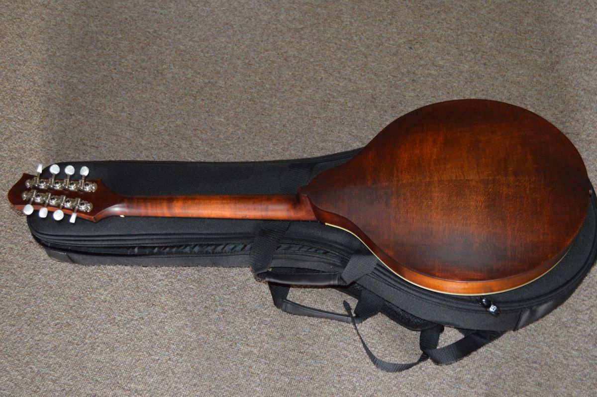 Eastman MDO305 Octave Mandolin Gig Bag & Set Up Mandolin Store