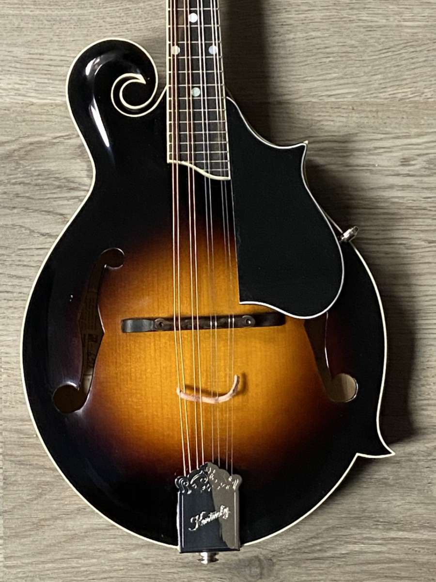 Kentucky mandolin used casualpsado