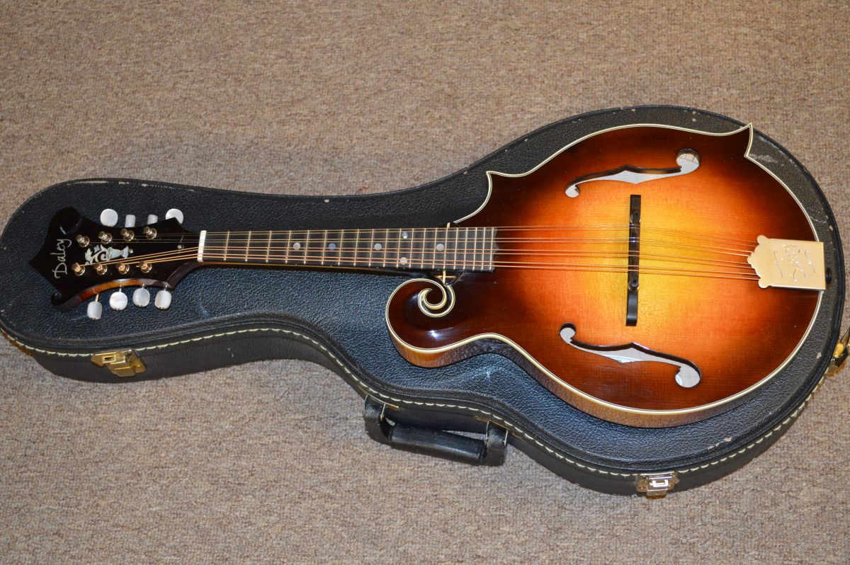 2014 Daley F Mandolin Beast SOLD Mandolin Store