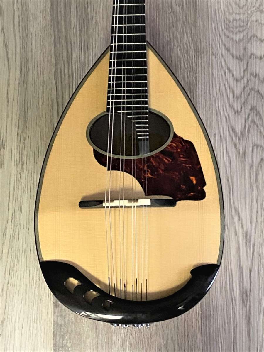 Eastman Bowlback Mandolin Mandolin Store