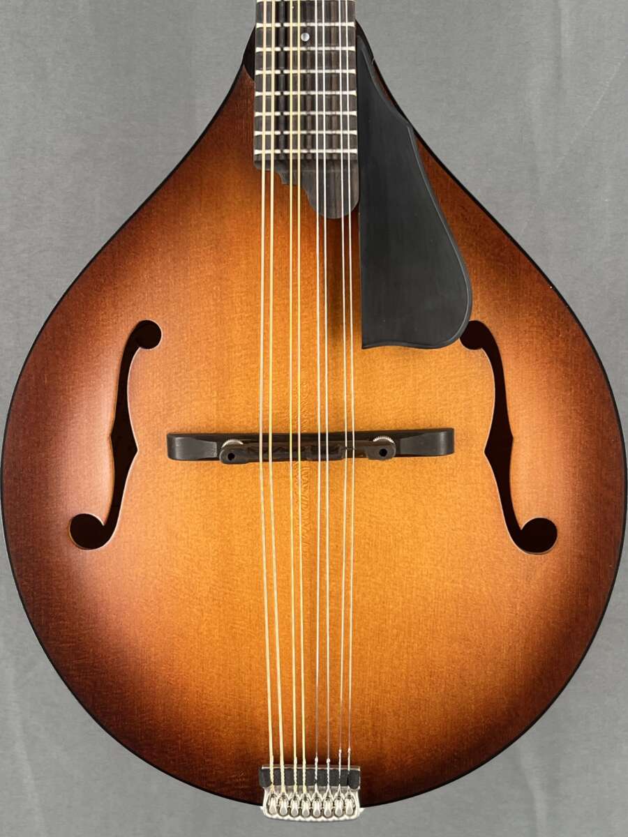 Northfield Model M A Mandolin Mandolin Store