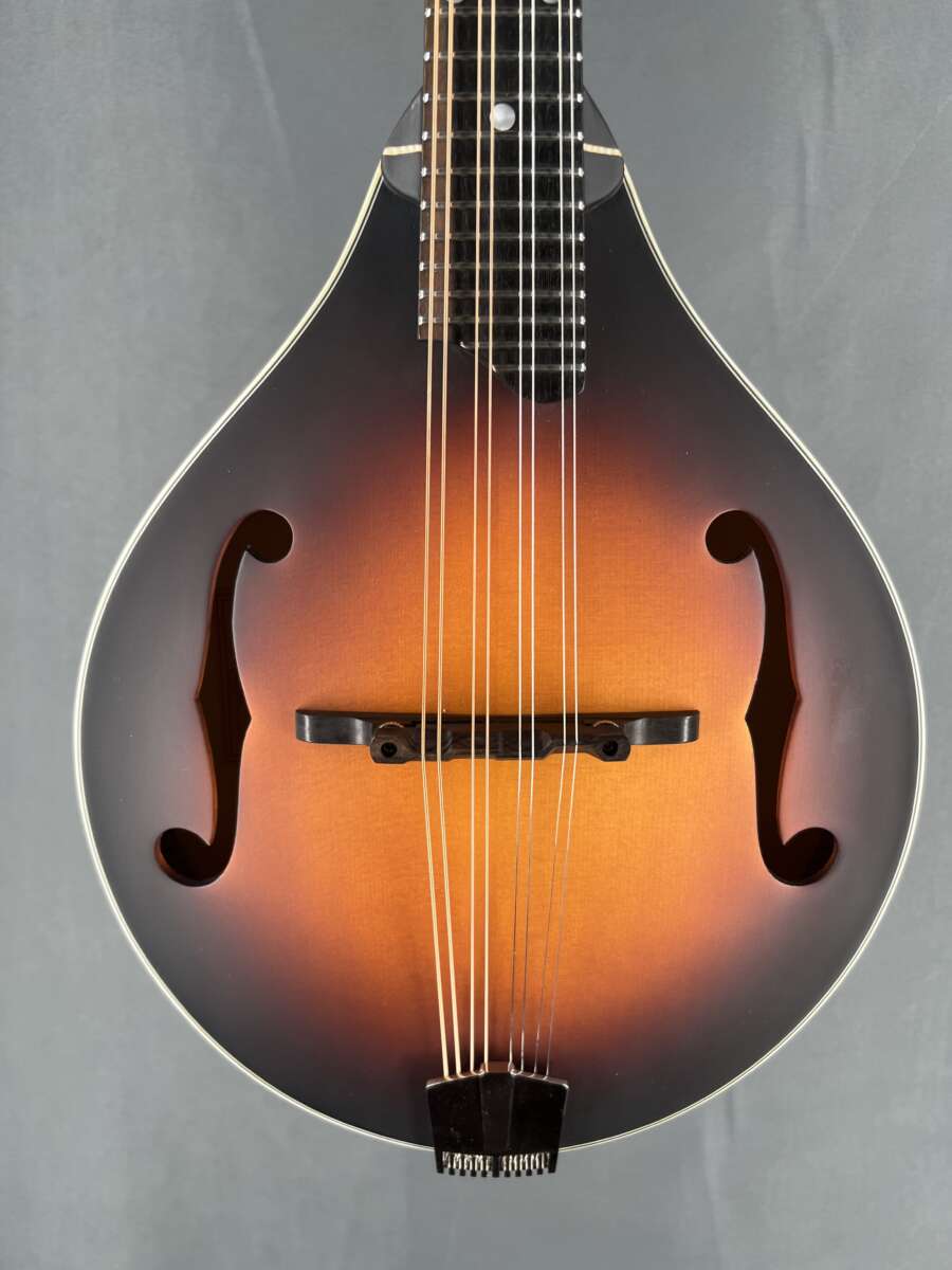 Eastman MD305 Mandolin Acoustic Electric Mandolin Store