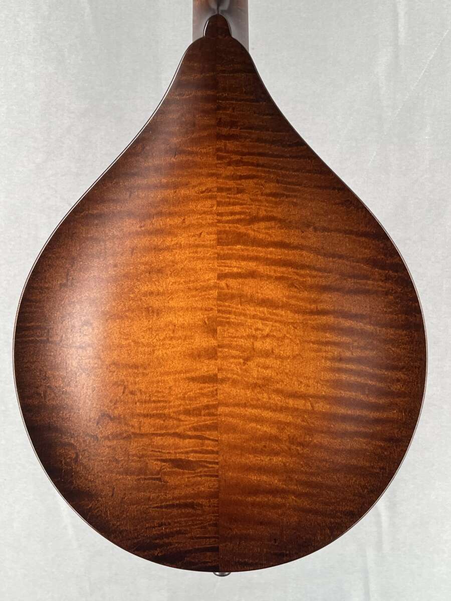 Northfield Model M A Mandolin Wide Nut Mandolin Store