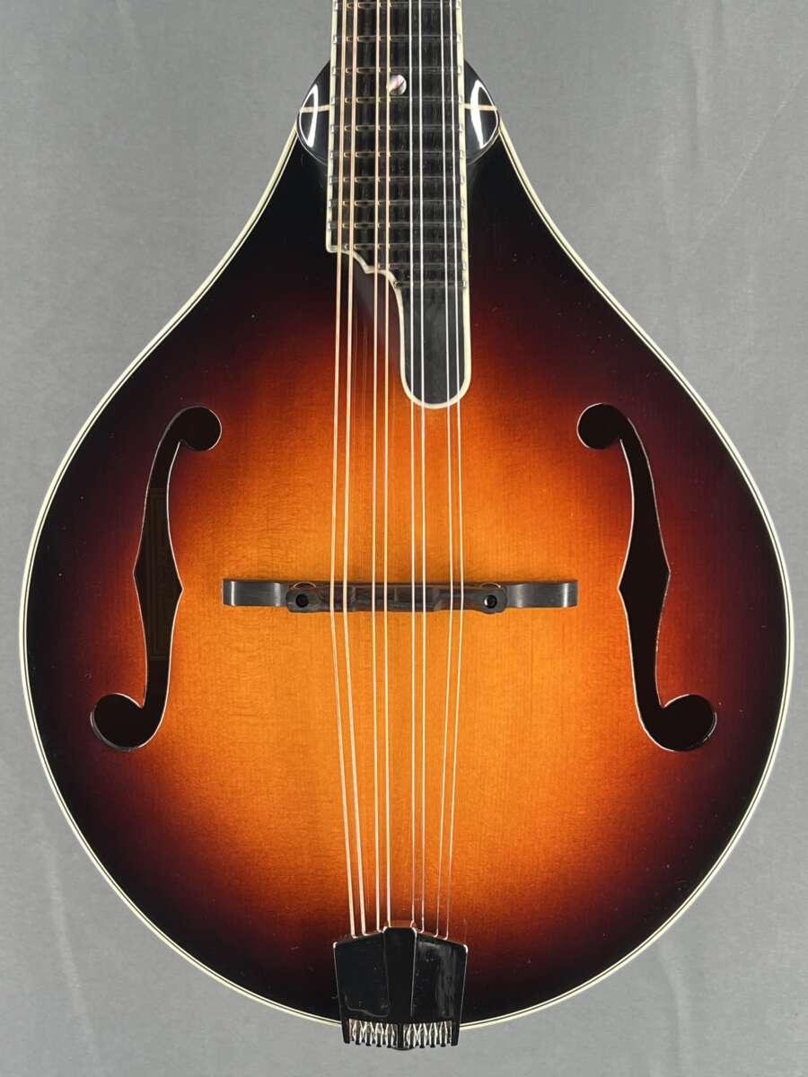 Eastman MD805 A Mandolin Mandolin Store