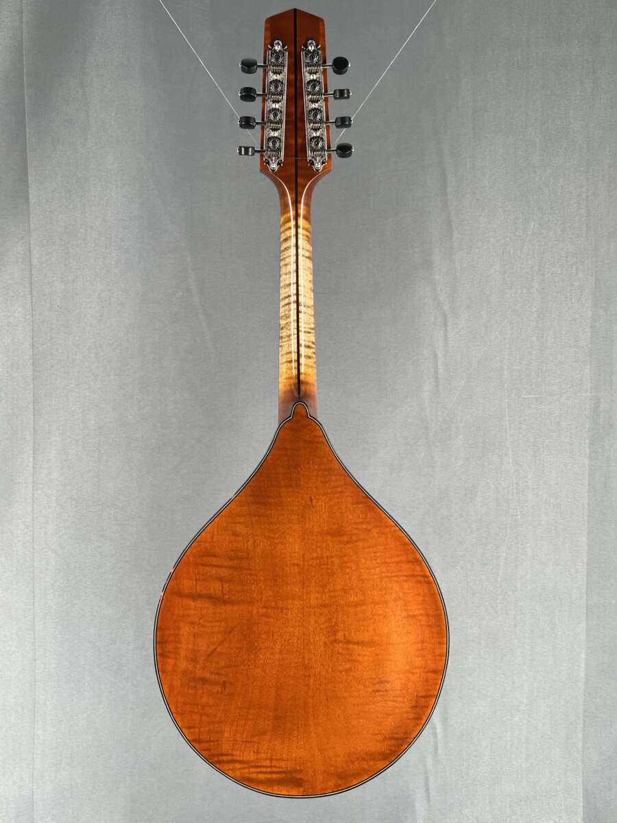 Northfield A4 Special Mandolin Mandolin Store