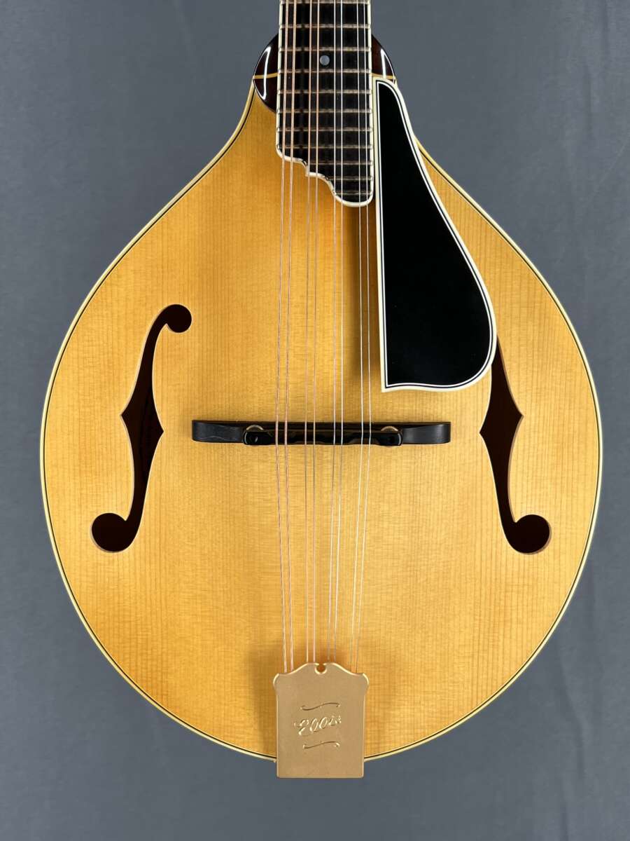 Ellis A5 Special Mandolin 547 Great Sound Mandolin Store