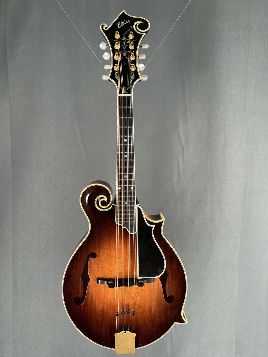 2017 Ellis F5 Special Mandolin Mandolin Store