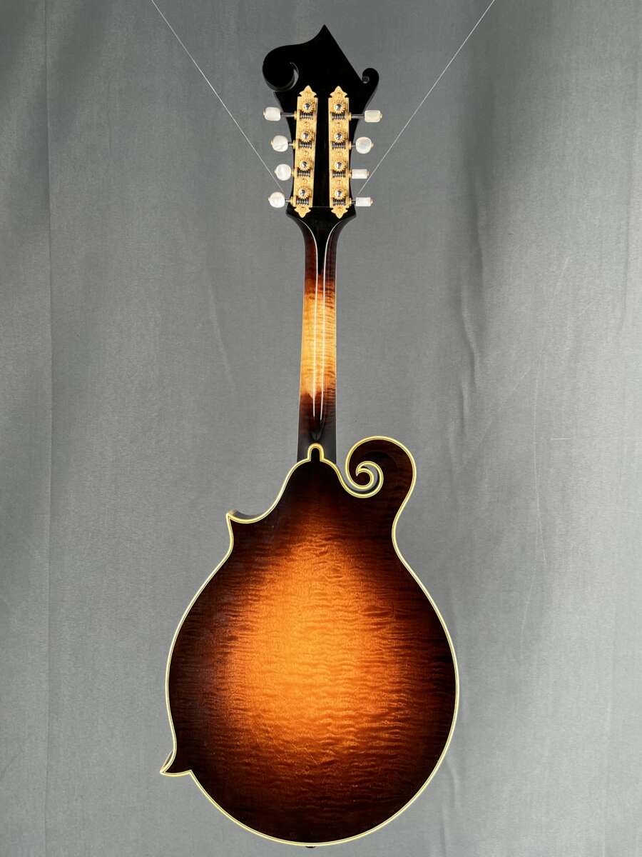 2017 Ellis F5 Special Mandolin Mandolin Store