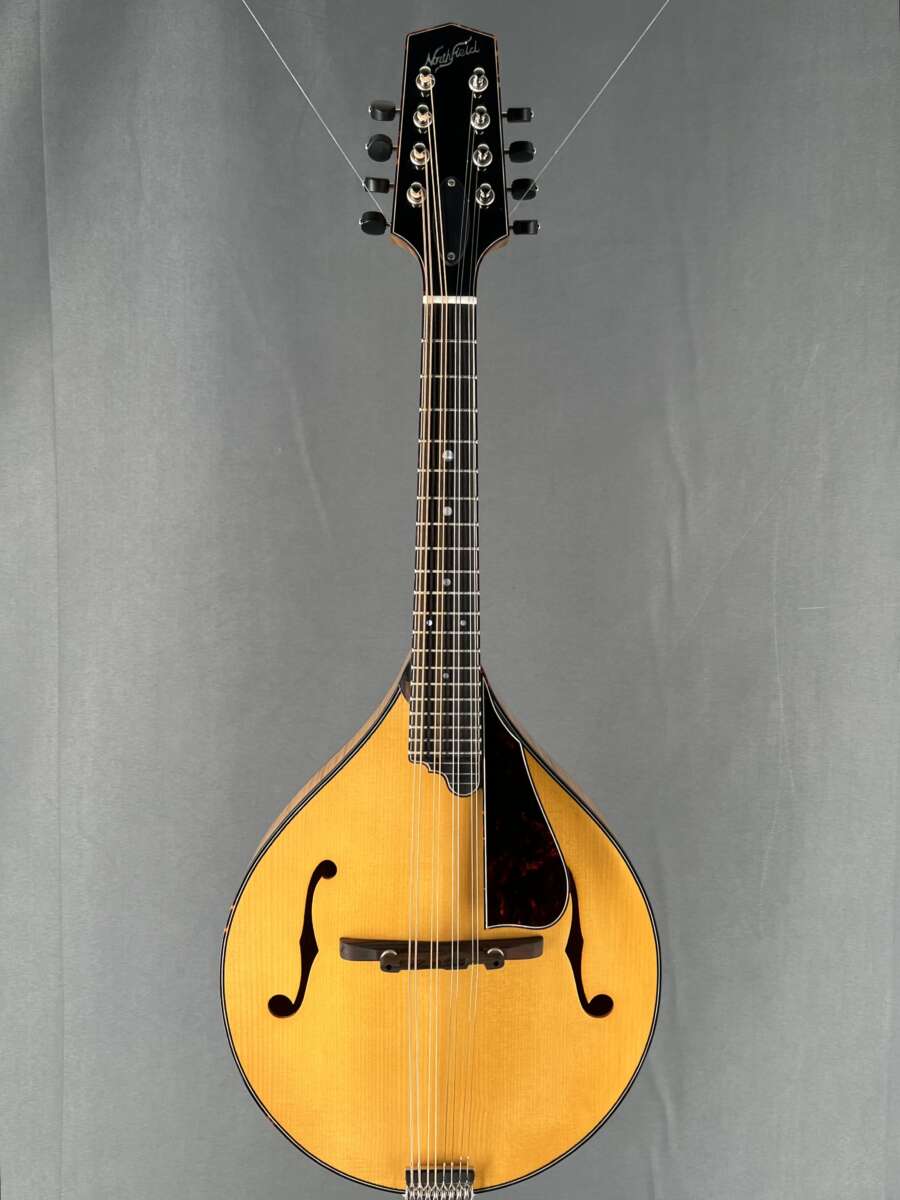 Northfield A5 Special Mandolin Honey & Tortoise Mandolin Store