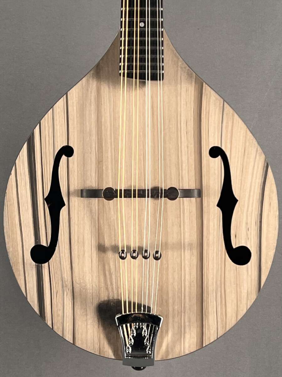 KLOS Carbon Timber A Style Mandolin Mandolin Store