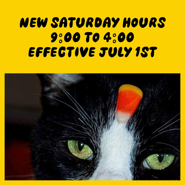 Feed Store, Tack, Supplies, Saddle Shop, Apparel Uxbridge, MA