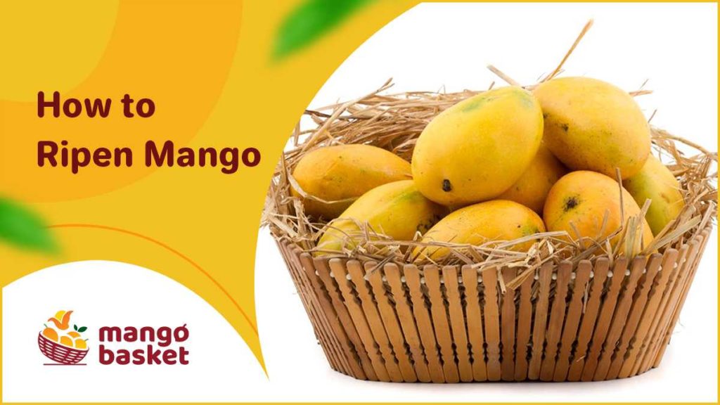 How to Ripen Mango?