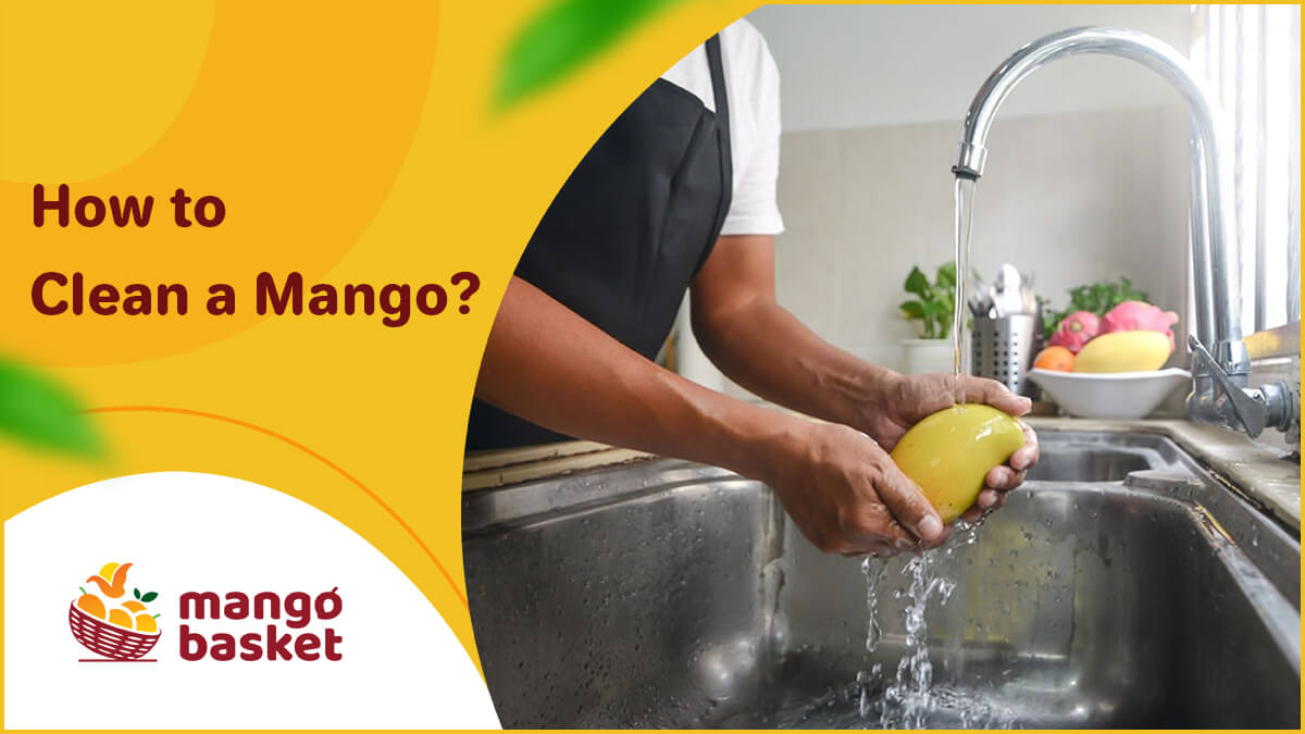 Why Alphonso is The King of Mangoes? Mango Basket