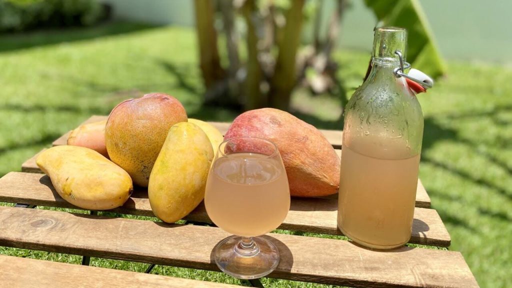 Mango Wine Recipe Mango Basket