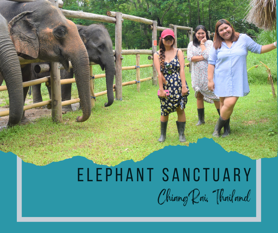 Chiang Rai Thailand Elephant Sanctuary The Manila PH