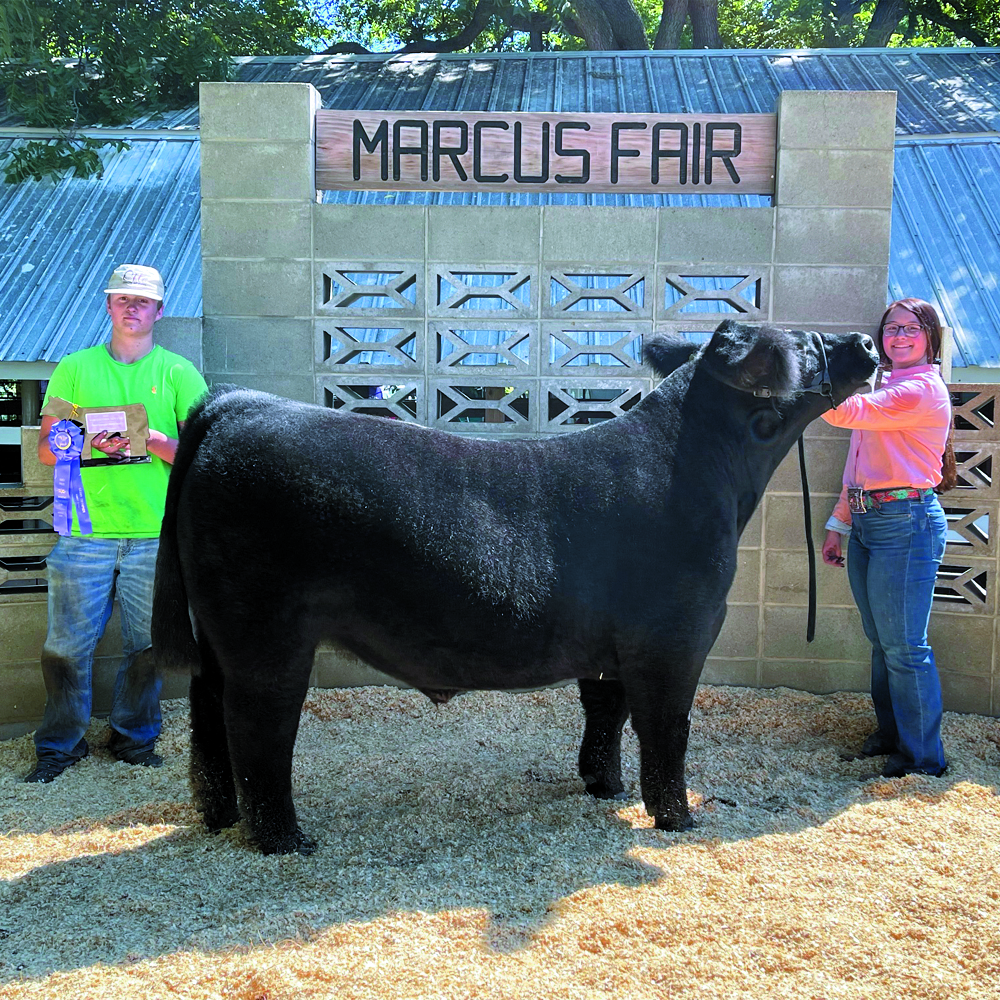 2021 Marcus Community Fair Cattle Show