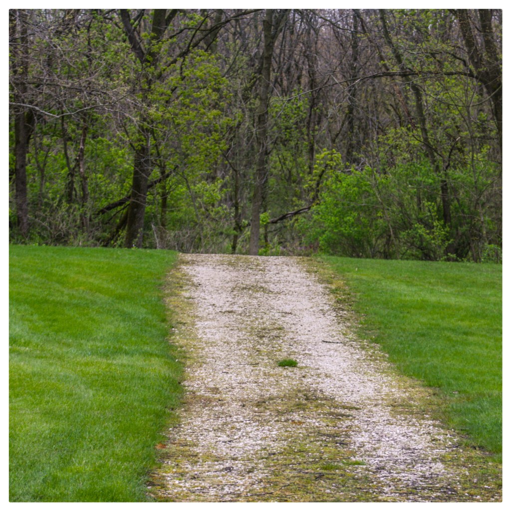 Marengo Park District