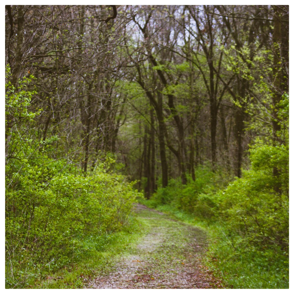 Marengo Park District