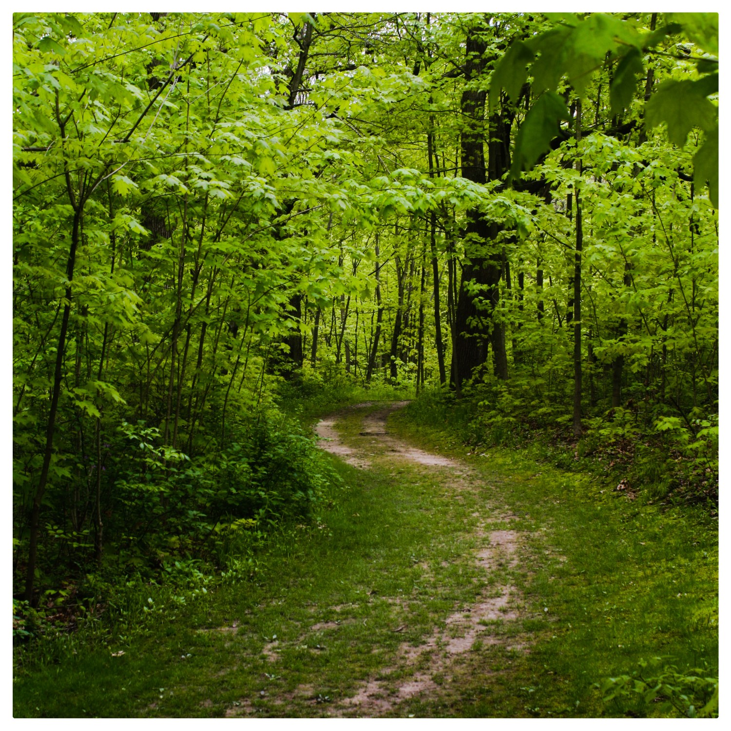 Marengo Park District