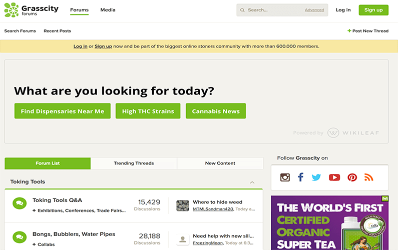 GrassCity Review The Only Real Review You Need to Read