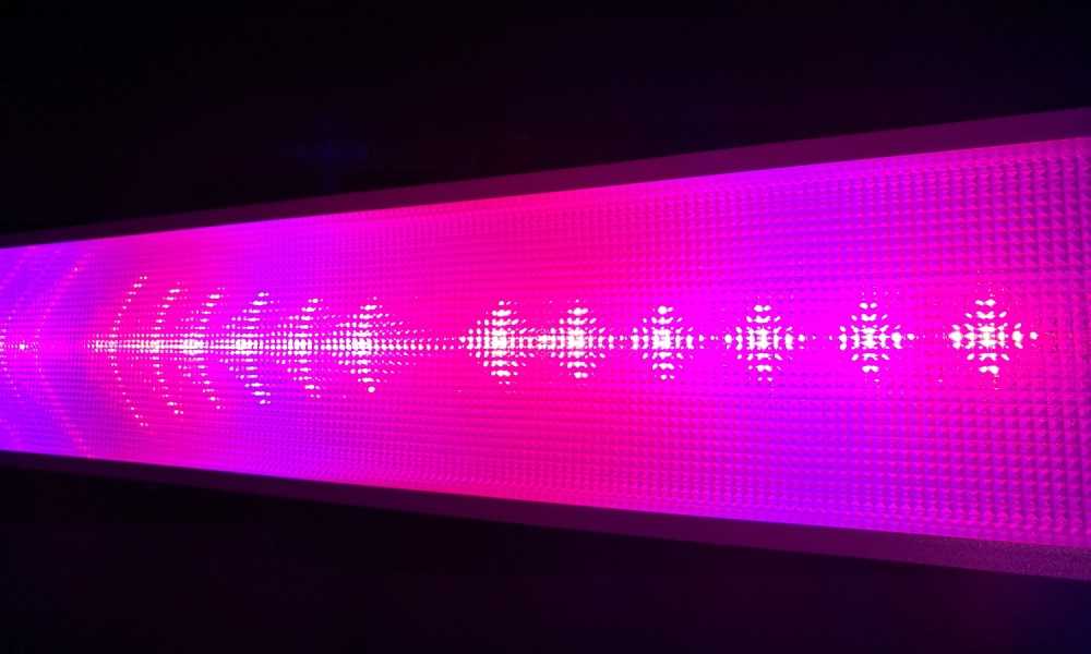 How Does Different Color Light Affect Plant Growth? The Marijuana Vape