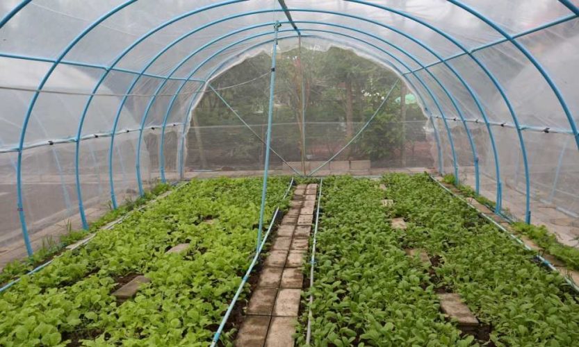 How to Lower Humidity in a Grow Tent The Marijuana Vape