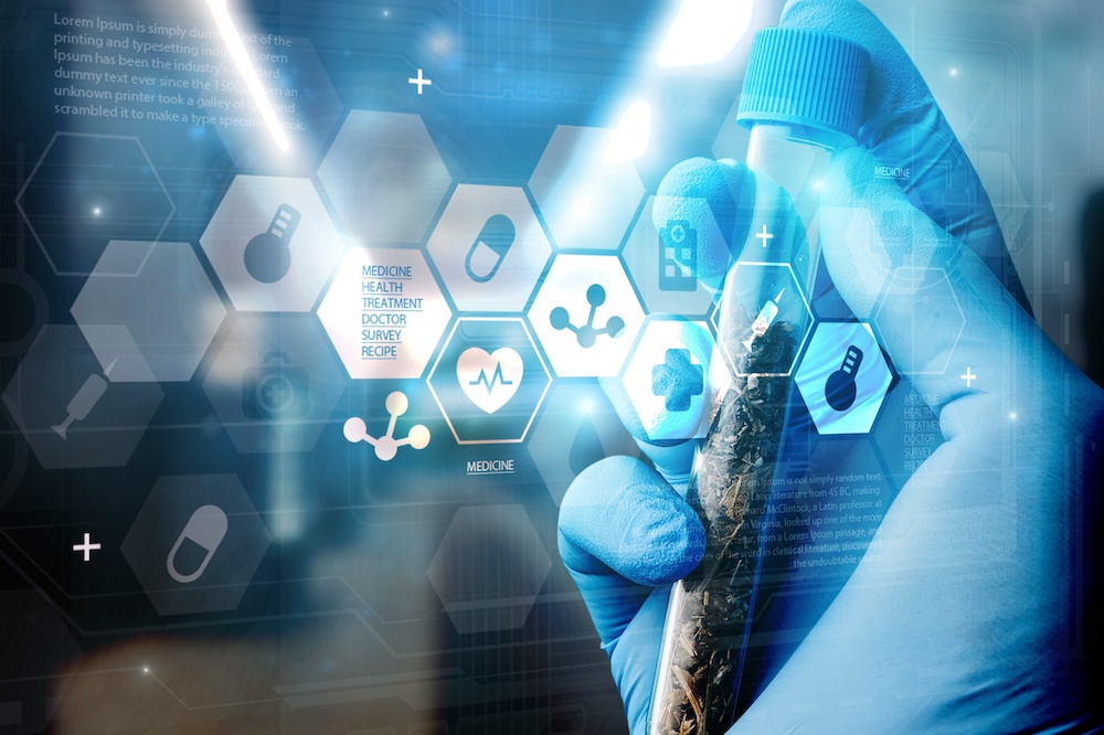 How Long Does CBD Stay in Your System and How It Creates Homeostasis