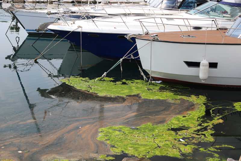 How To Reduce Water Pollution When Boating