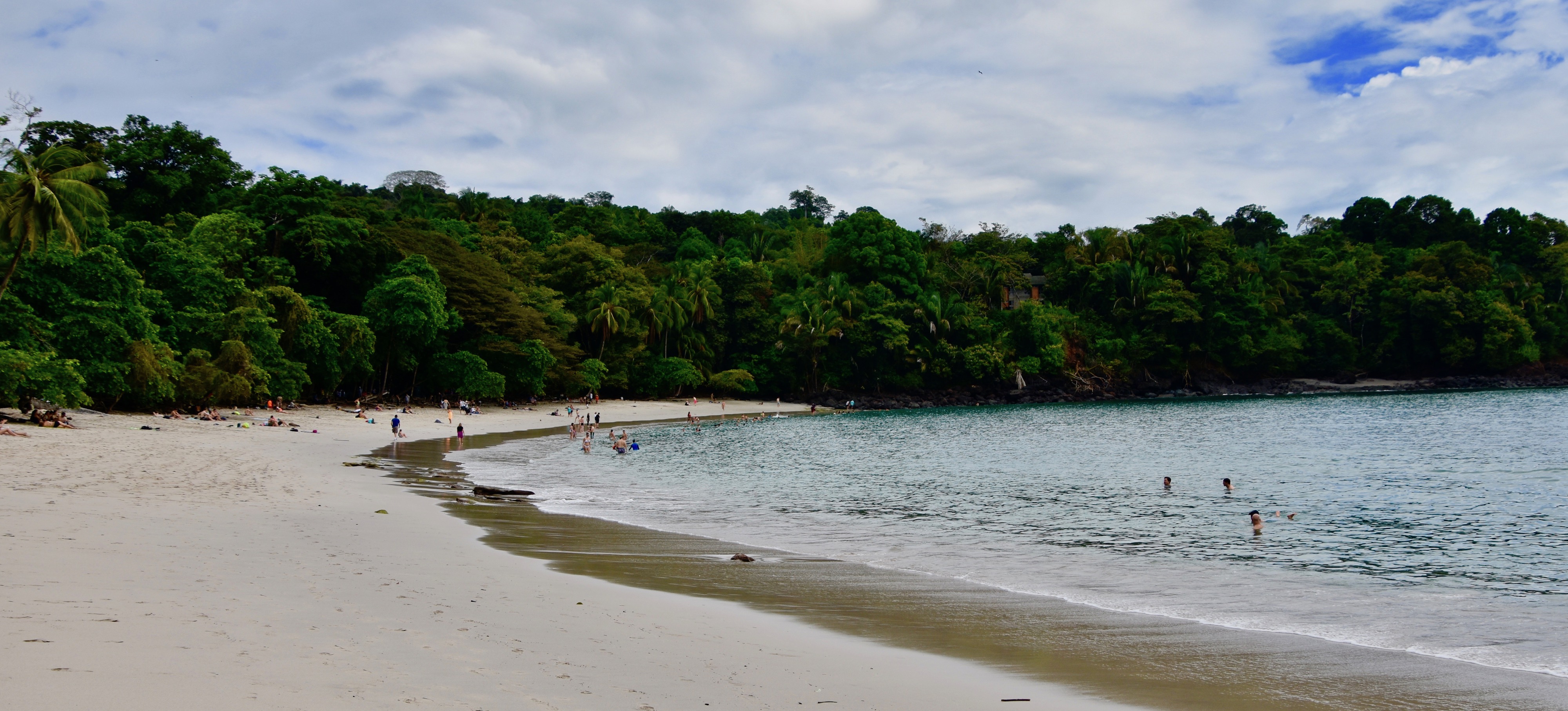 Manuel Antonio The Most Popular Park in Costa Rica