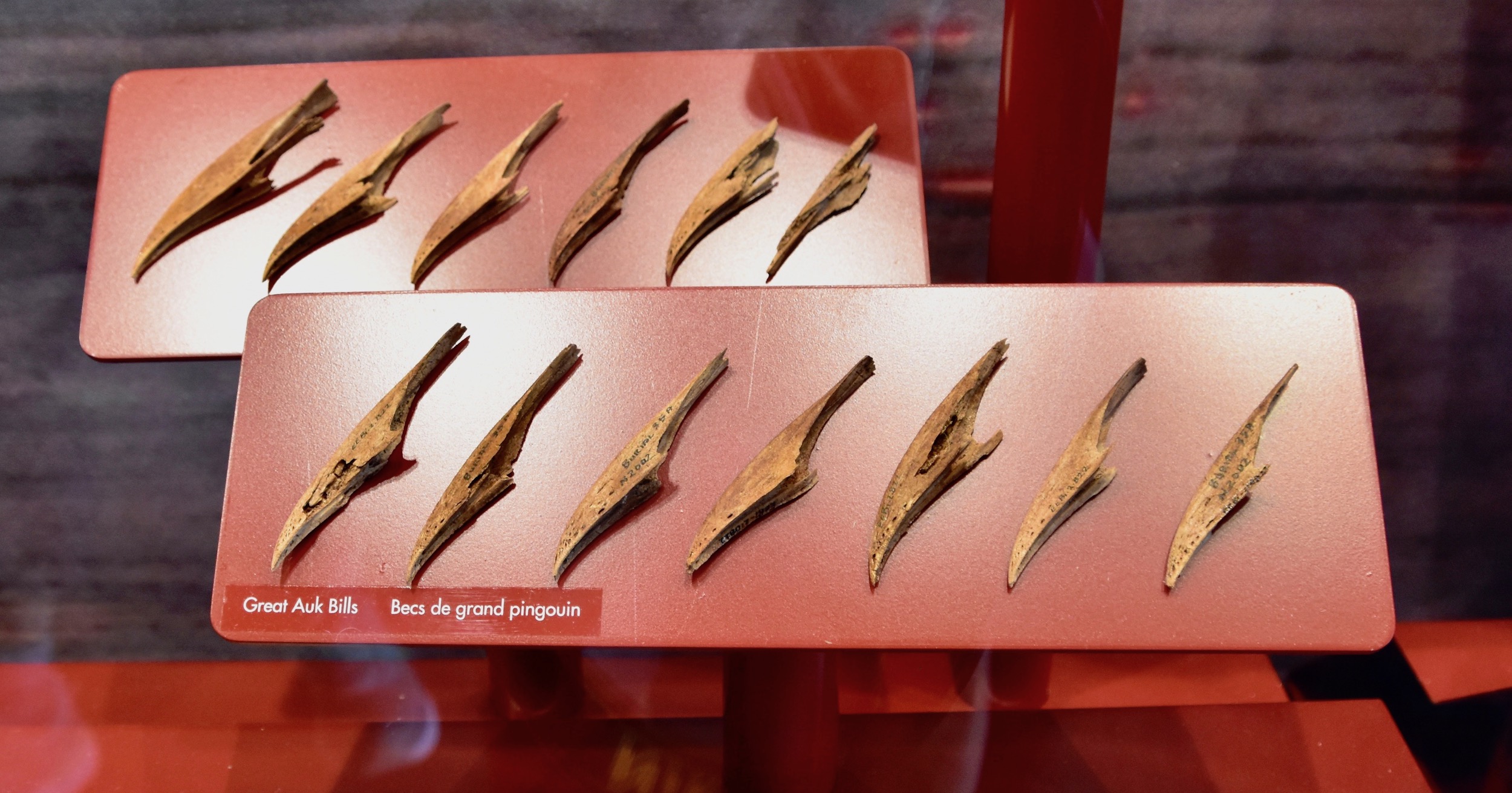 Port aux Choix Discovering Our First Nations The Maritime Explorer