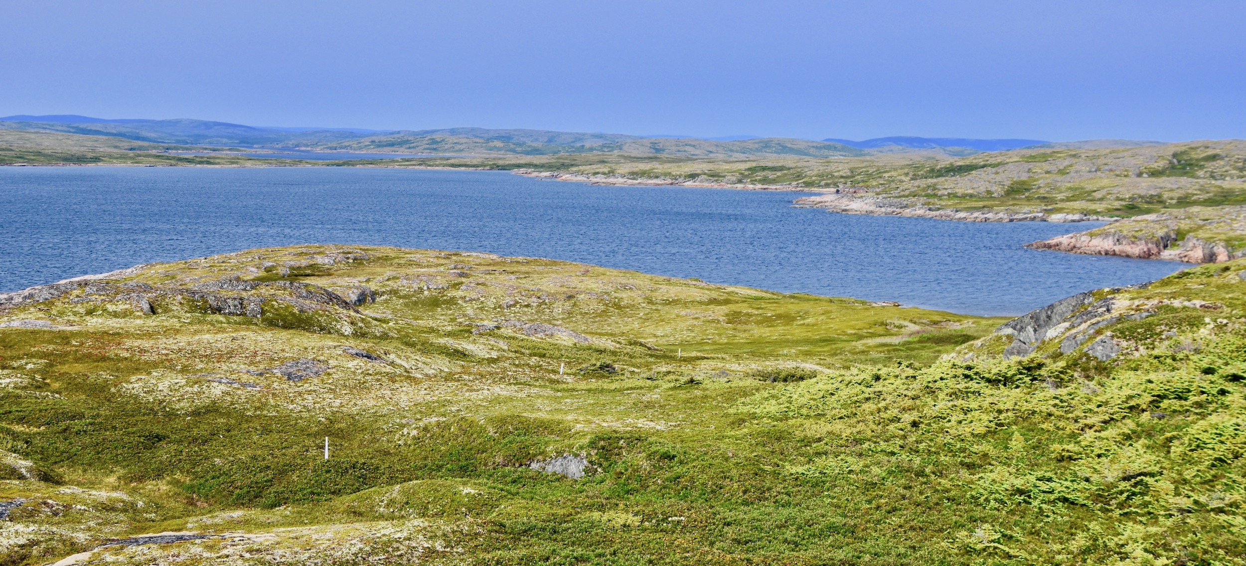 Great Caribou Island Hiking From Battle Harbour The Maritime Explorer